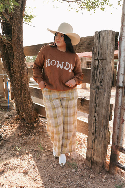 SINGLE TH6938 HOWDY BROWN SWEATER (2) 1X ,2X