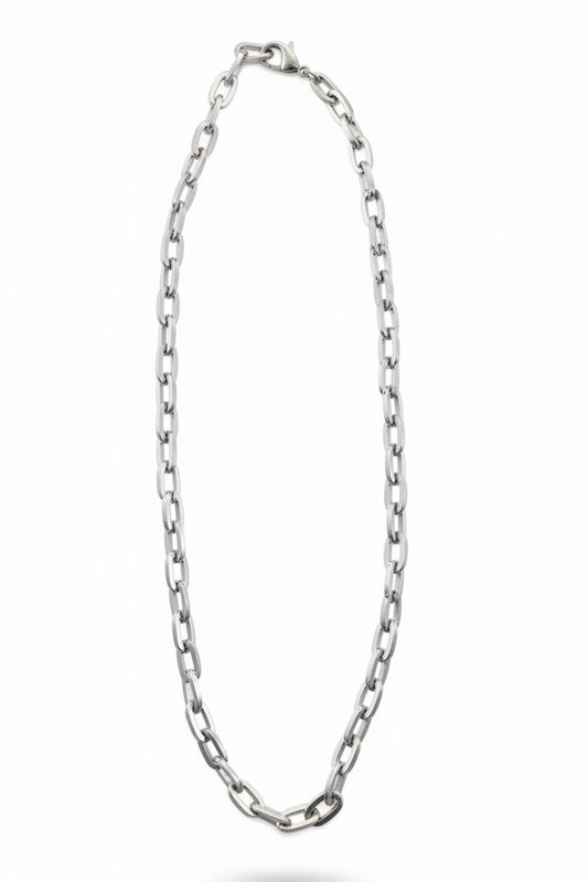 2242613 CHUNKY SILVER PAPER CLIP NL