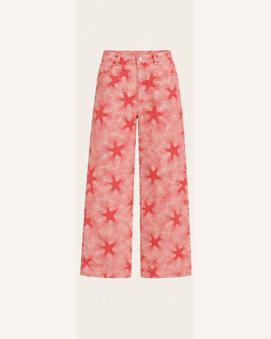 TH65 Red Star Pant ghost