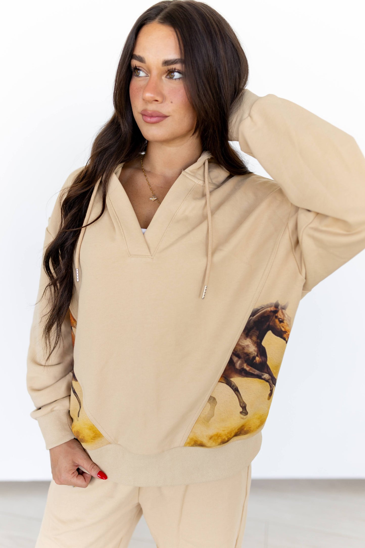 VR HORSE SWEATSHIRT(7 Piece)