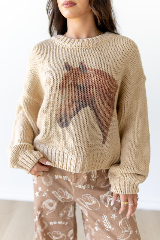 TH8474 HORSE SWEATER (7 Piece)