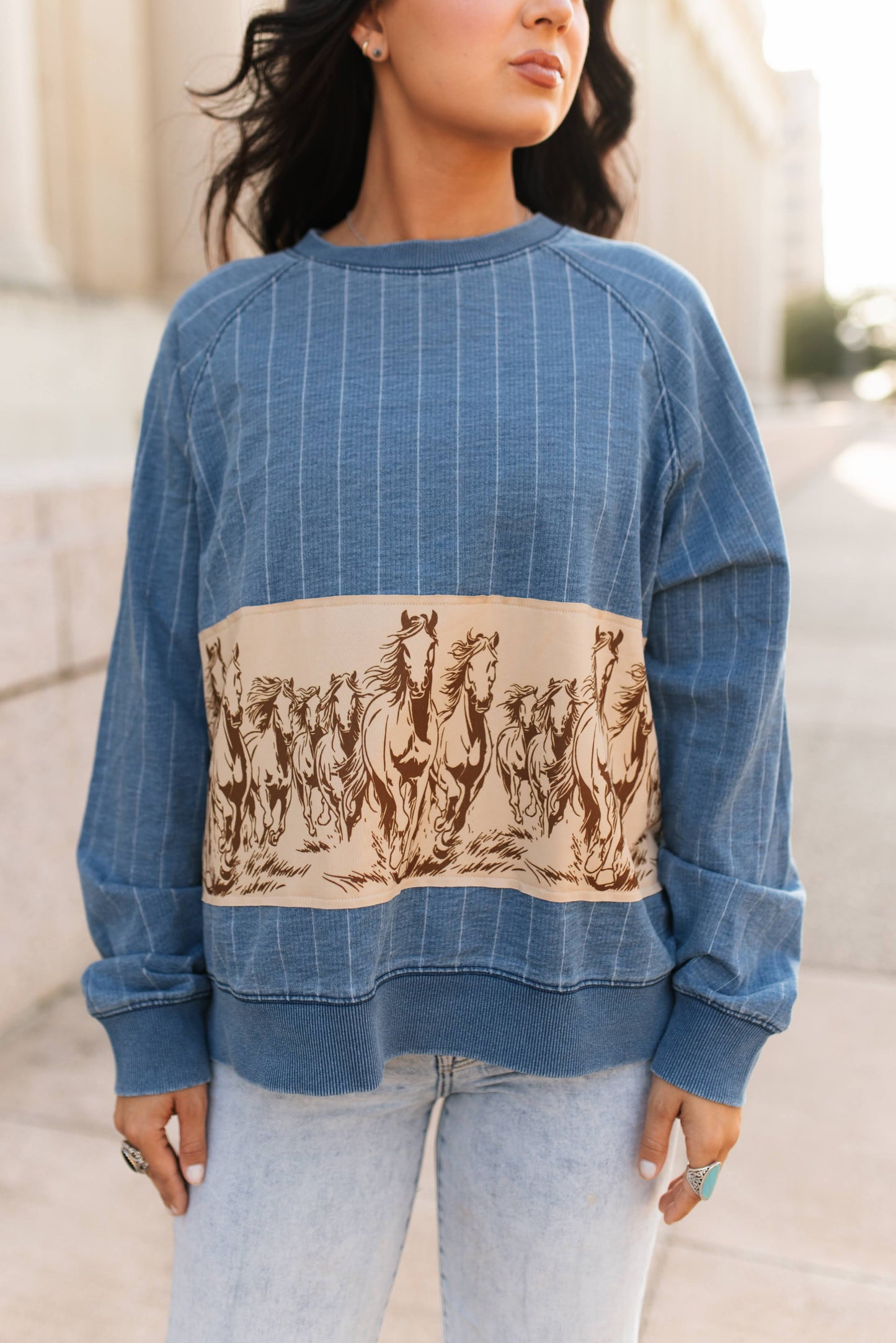 VR300 HORSE  STRIPED DENIM TOP(7 Piece)