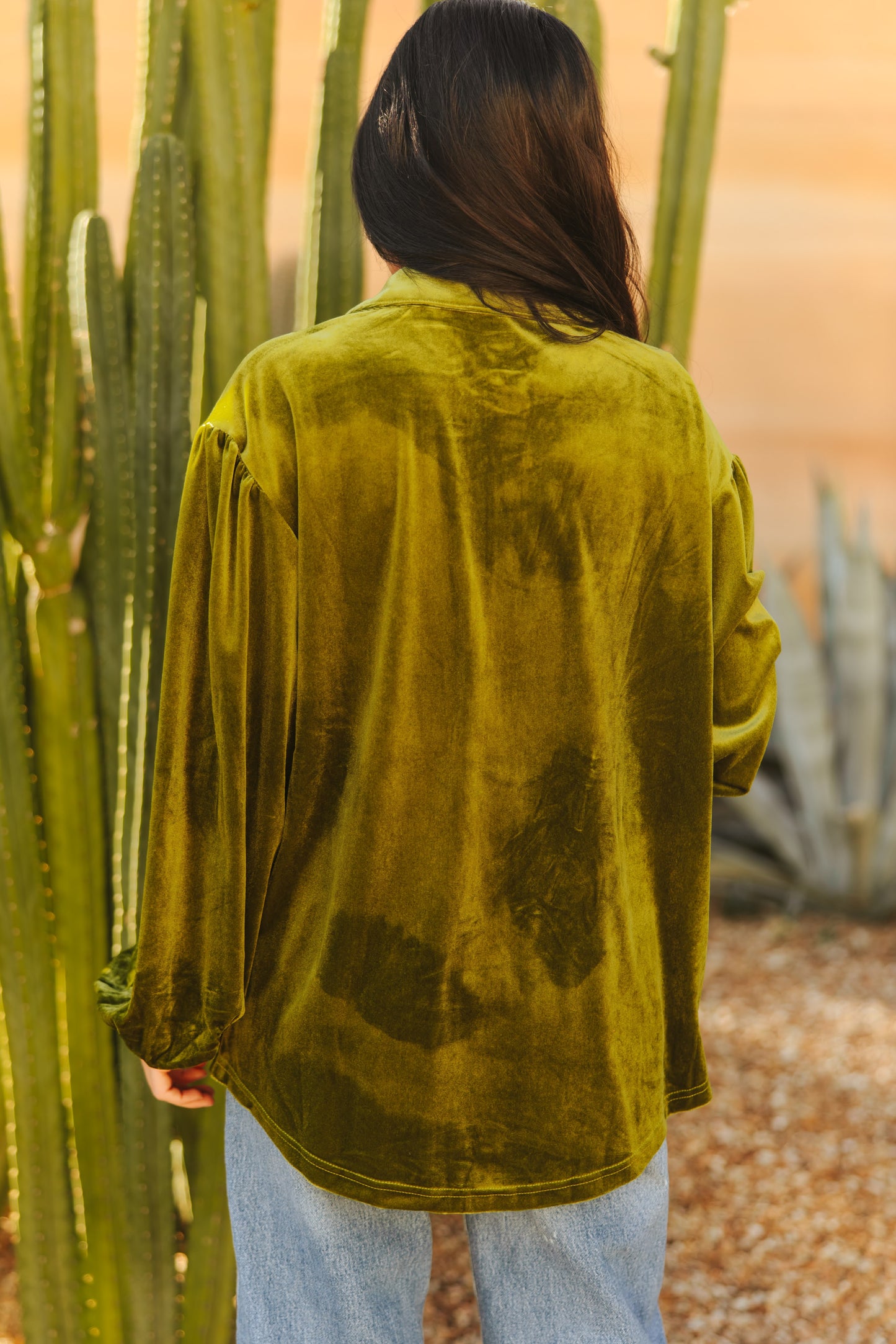 TH2780 S305 GREEN VELVET TOP (1 Pieces)