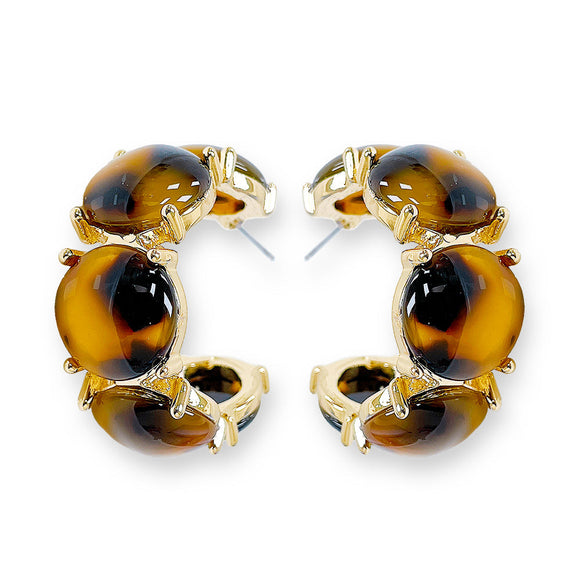 2116 Tortoise Acetate Round Hoop Earrings