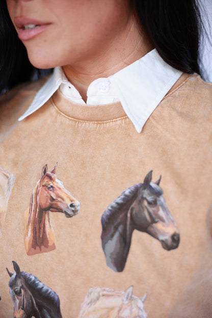 TH307 HORSE COLLAGE ON TAN  (7 Piece)